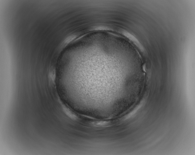 X0000113540841200910021348