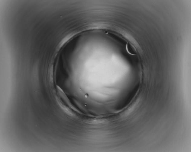 X0000113540842200910021348