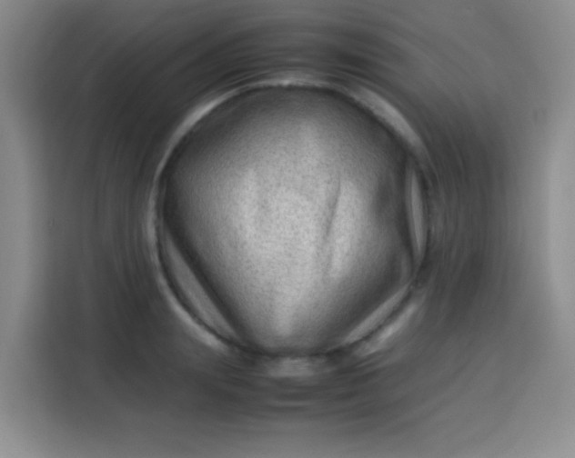 X0000113540847200910021348