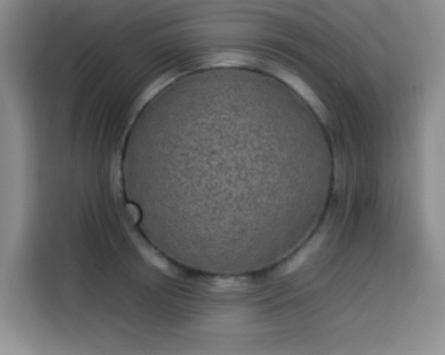 X0000113540850200910021348