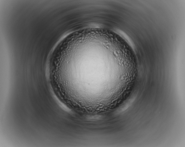 X0000113540851200910021348