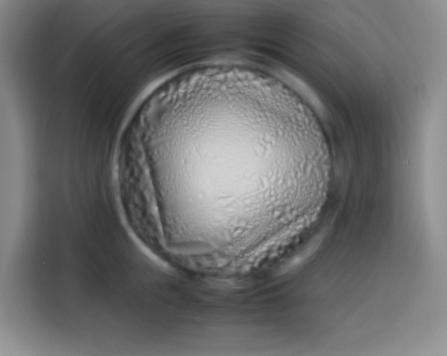 X0000113540855200910021348