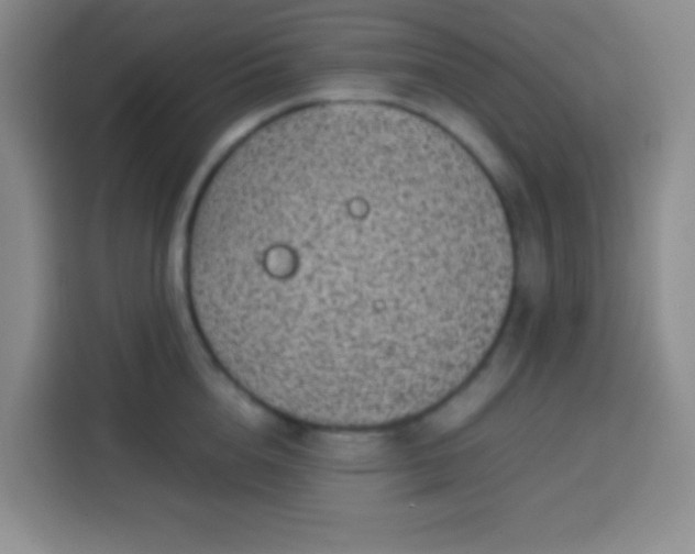 X0000113540856200910021348