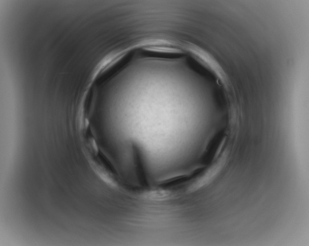 X0000113540858200910021348