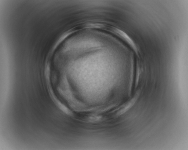 X0000113540859200910021348