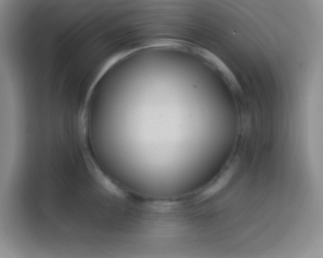 X0000113540860200910021348