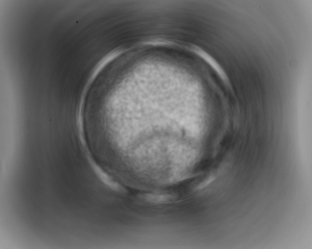 X0000113540861200910021348