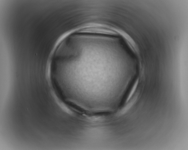 X0000113540862200910021348