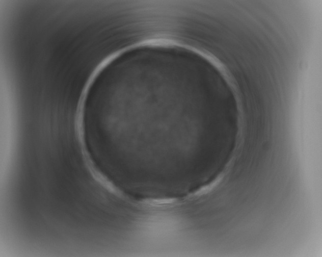 X0000113540864200910021348