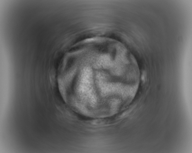 X0000113540867200910021347