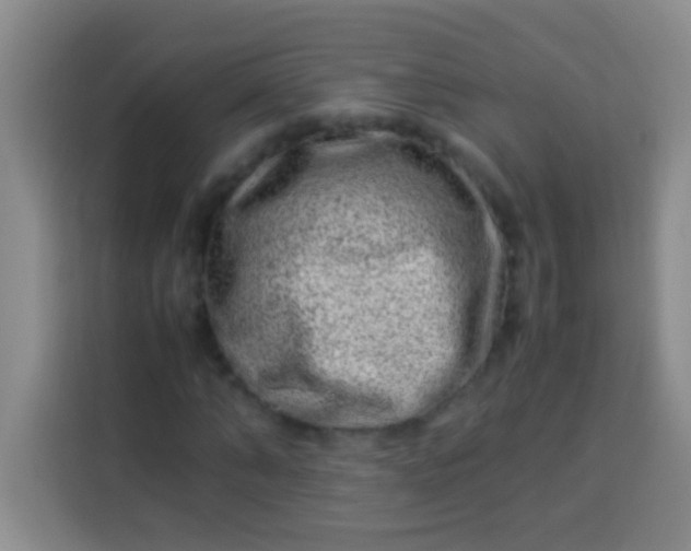 X0000113540870200910021347