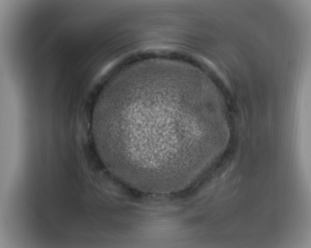 X0000113540871200910021347