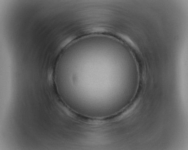 X0000113540873200910021347