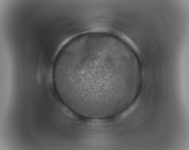 X0000113540875200910021347