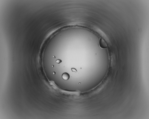 X0000113540876200910021347