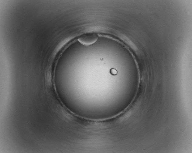 X0000113540877200910021347