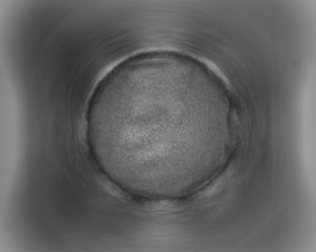 X0000113540879200910021347