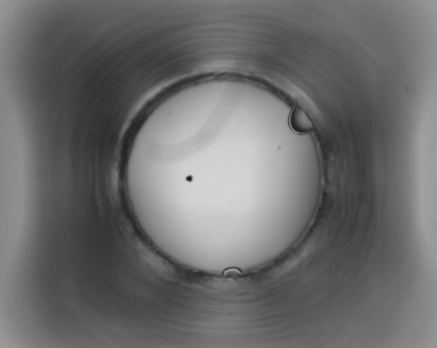 X0000113540880200910021347