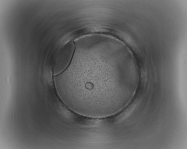 X0000113540881200910021347