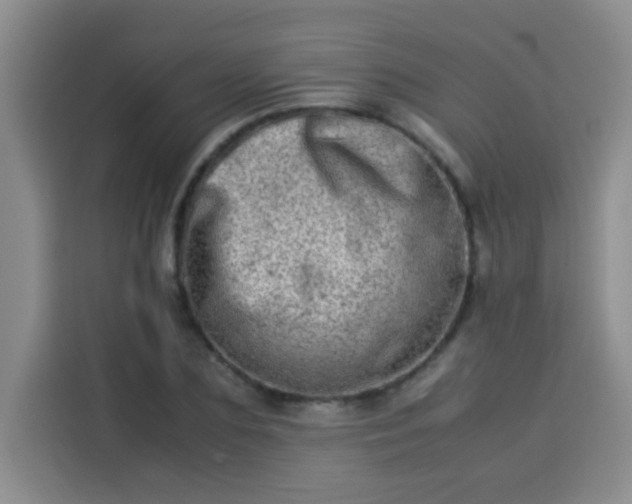 X0000113540883200910021347