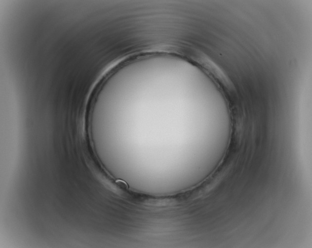 X0000113540884200910021347