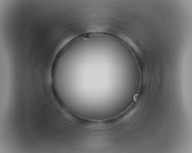 X0000113540885200910021347