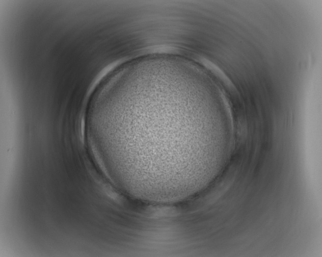 X0000113540886200910021347