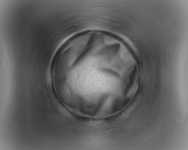 X0000113540887200910021347