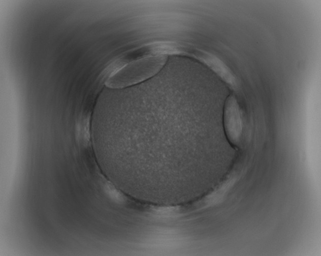 X0000113540889200910021347