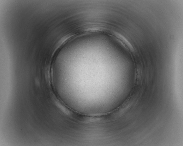 X0000113540890200910021347