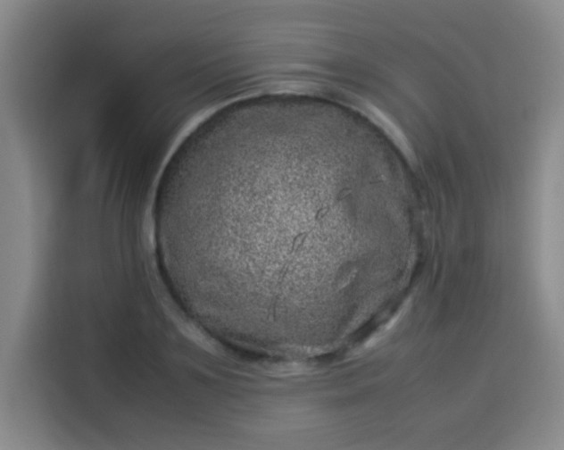 X0000113540891200910021347