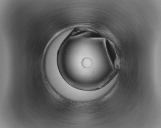 X0000113540892200910021347