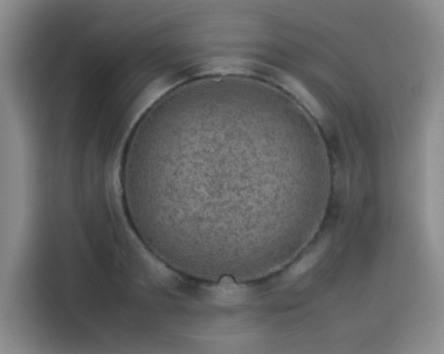 X0000113540893200910021347