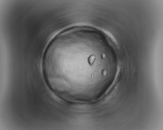 X0000113540895200910021347