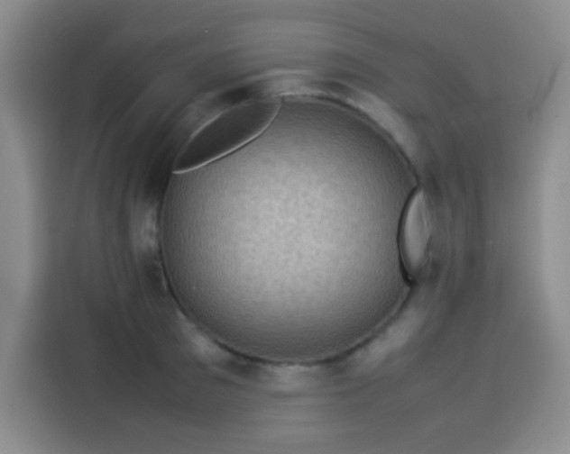 X0000113540897200910021347