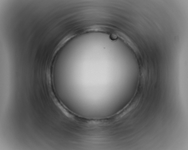 X0000113540898200910021347