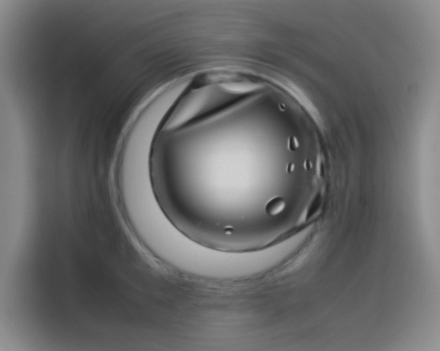 X0000113540901200910021347