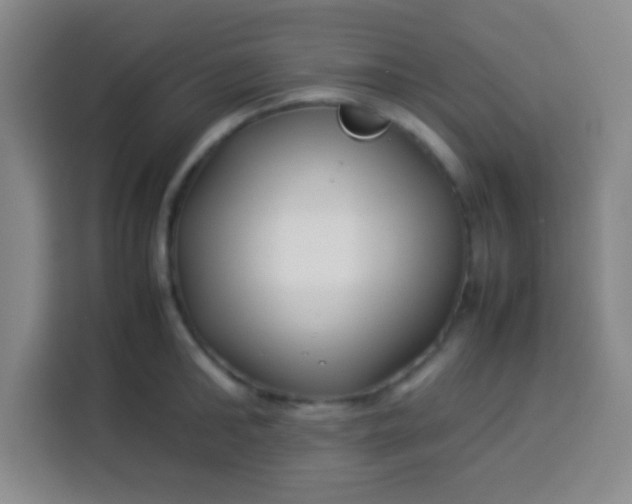 X0000113540902200910021347