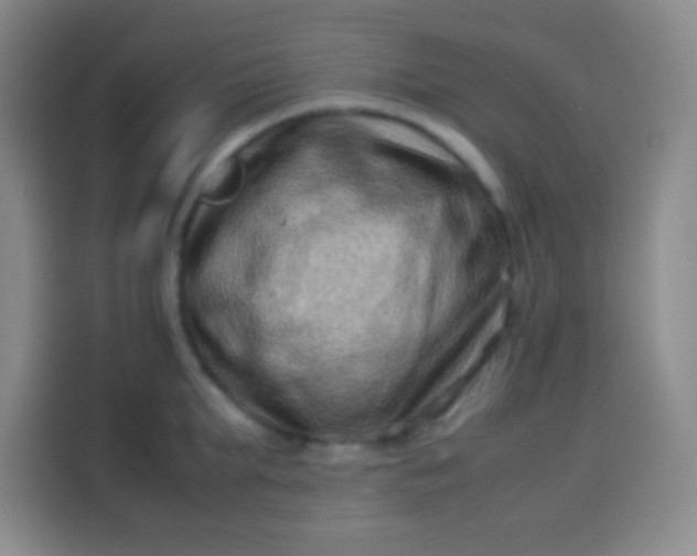 X0000113540903200910021347