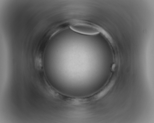 X0000113540905200910021347