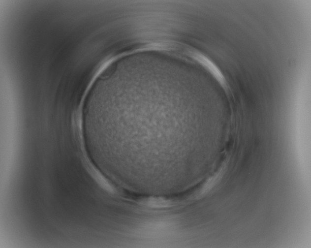 X0000113540907200910021347