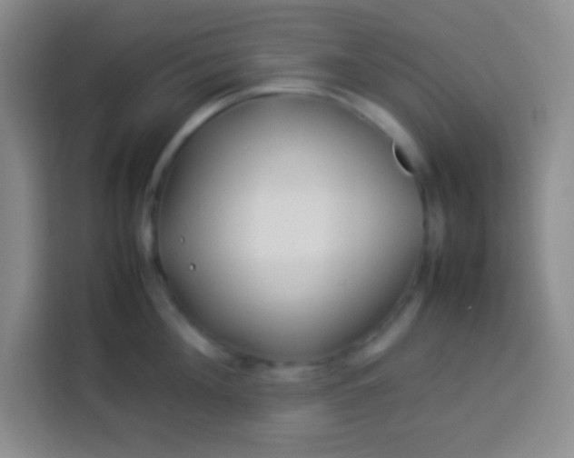 X0000113540908200910021347