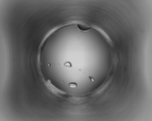 X0000113540910200910021347