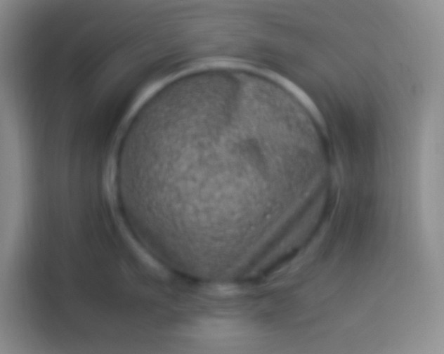 X0000113540911200910021347