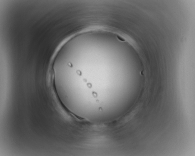 X0000113540912200910021347