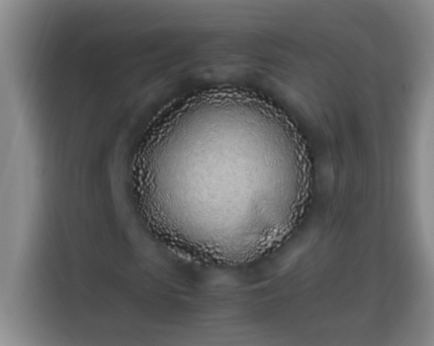 X0000113540913200910021346