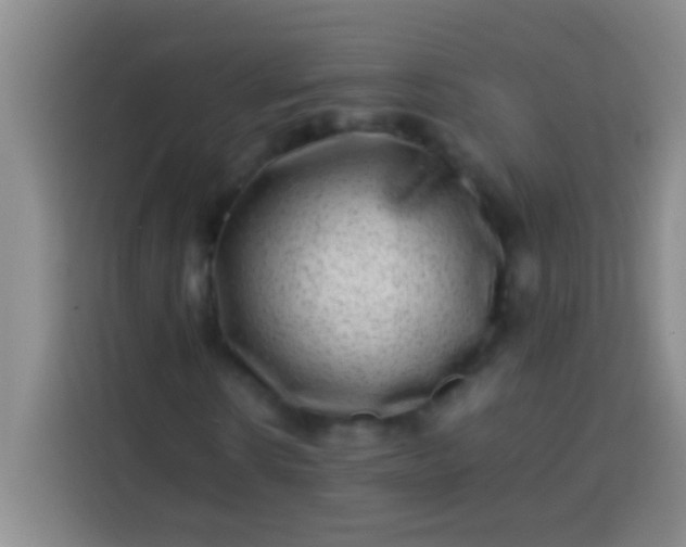 X0000113540914200910021346