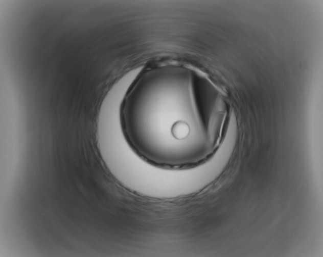 X0000113540916200910021346