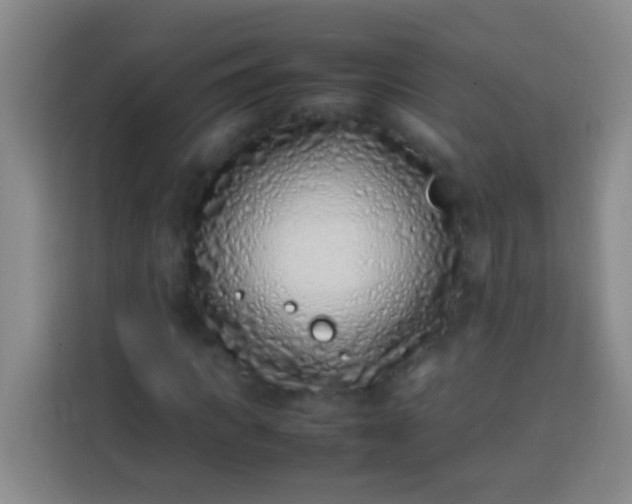 X0000113540917200910021346