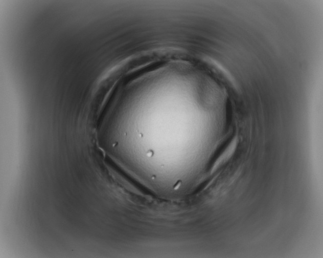 X0000113540919200910021346